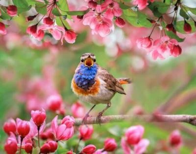 Spring into Savings!